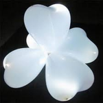 Led ballonnen wit hart vorm
